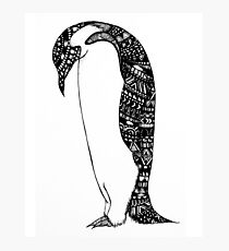 Penguin Photographic Print