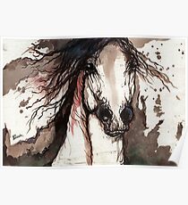 arabian horse impressions Poster