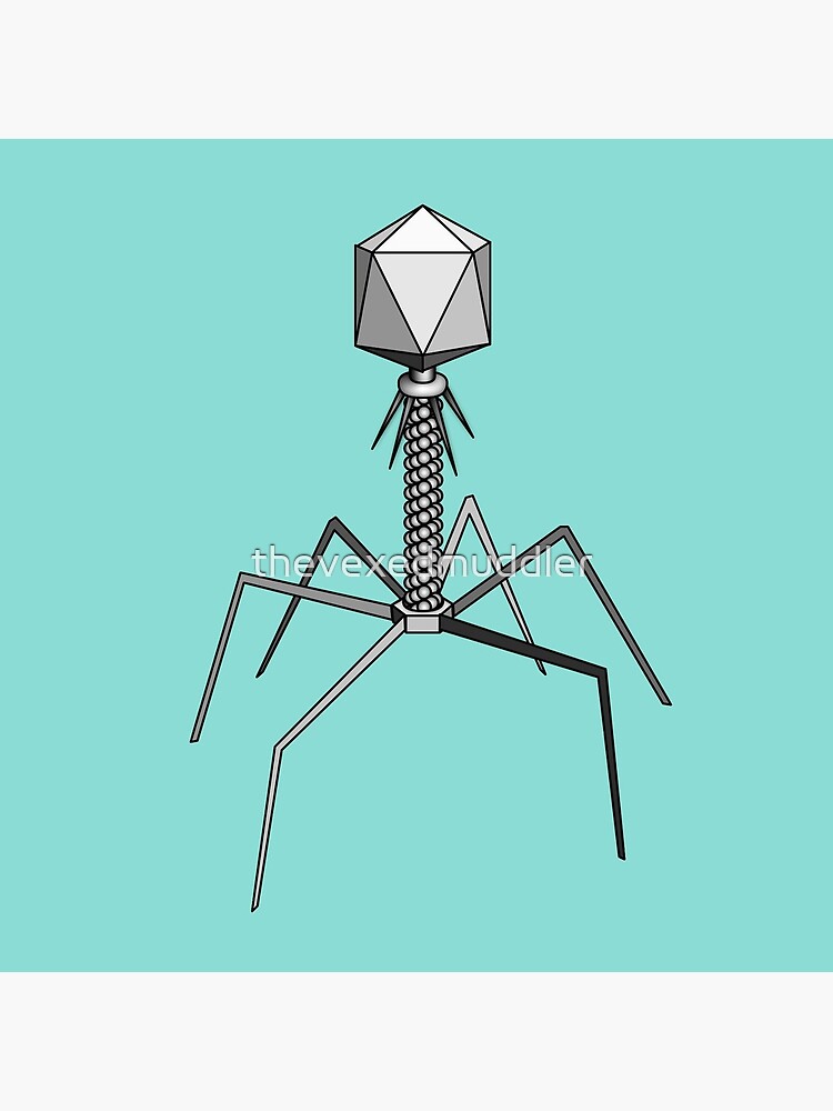 T4 bacteriophage virus by thevexedmuddler
