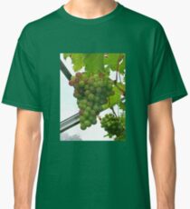 On The Grapevine Classic T-Shirt