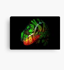 Panther Chameleon Canvas Print