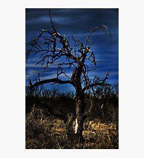 Night Falls Photographic Print