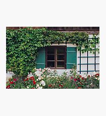 The Charming Garden Photographic Print