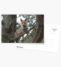 The Red TreeFox Postcards