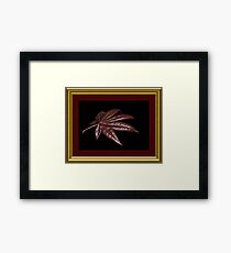 " Feng Shui " Framed Print