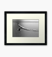 Water Touch Framed Print