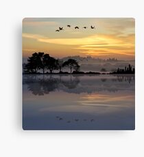 Nature Guitar Sunset Canvas Print