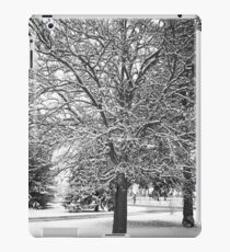 Snow iPad Case/Skin
