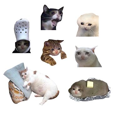 Artwork thumbnail, Crying Cat Meme Pack by Goath