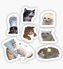 Crying Cat Meme Pack Sticker