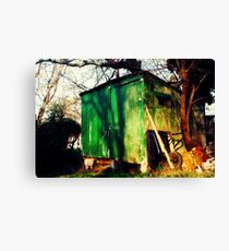 Shedding Green Canvas Print