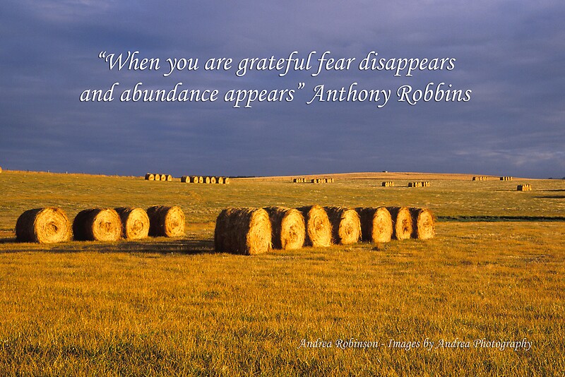 "Abundance Hay bales at Sunrise with Quote" by Andrea Robinson Redbubble