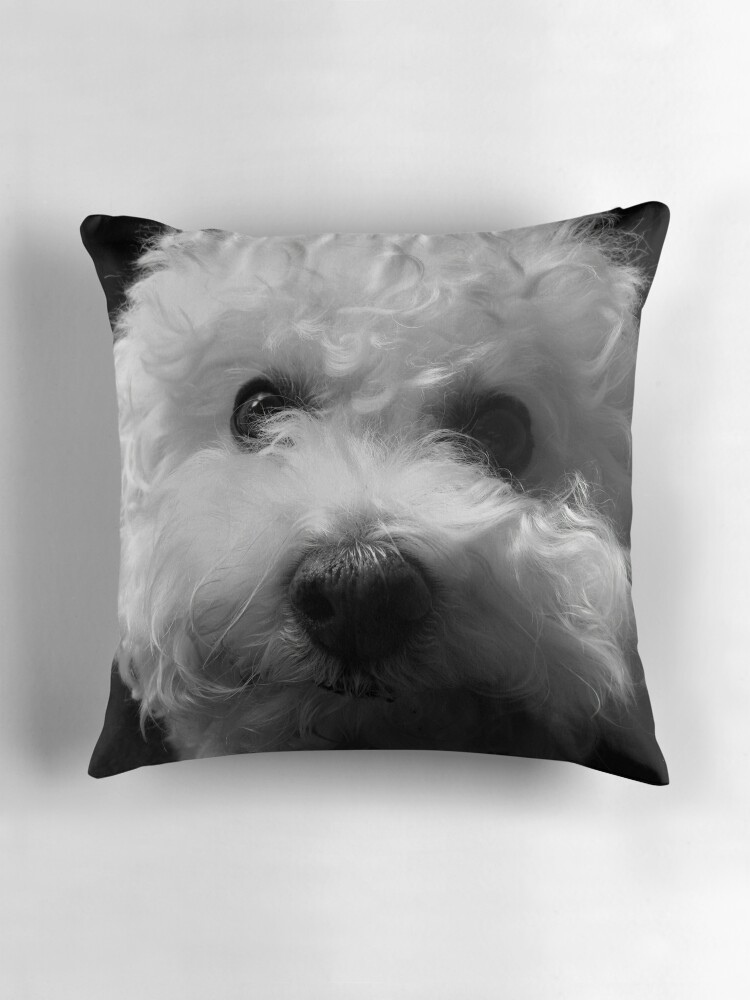 bichon cushion