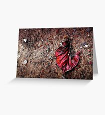 Forgotten memories Greeting Card