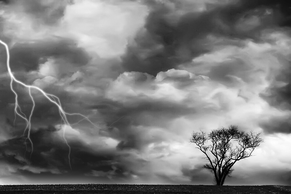 “Black and White Storm with Lightning and Tree” by Rebecca Haegele