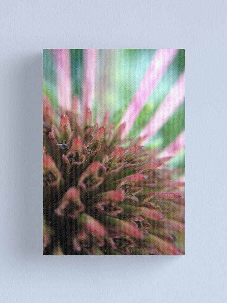 Alternate view of Coneflower Canvas Print