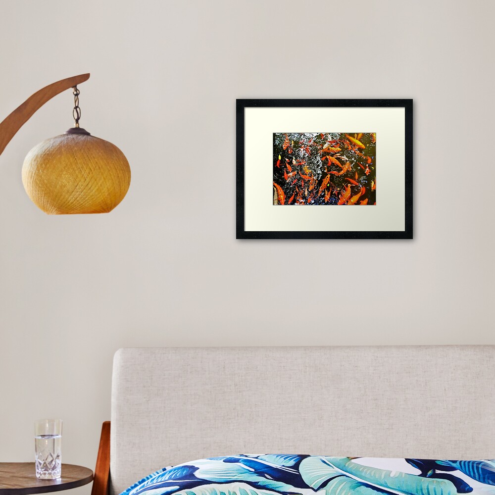 Koi Framed Art Print