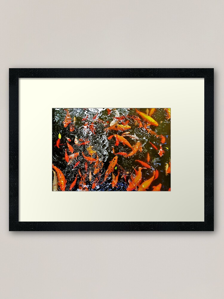 Alternate view of Koi Framed Art Print
