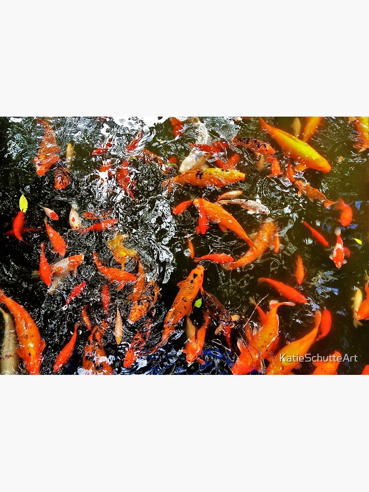 Koi by KatieSchutteArt