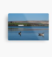 Quack Quack Metal Print