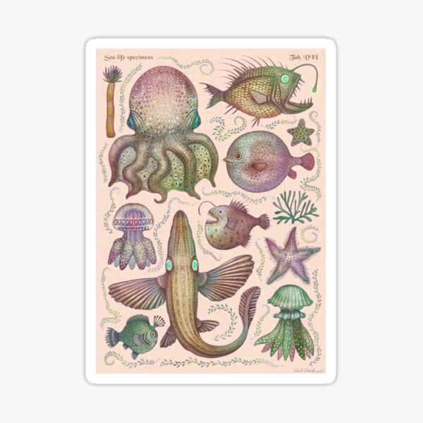 Sea life specimens Sticker