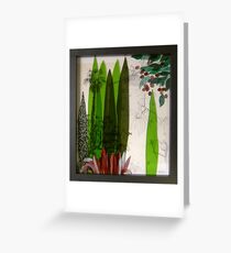 Doreanthes and Syzygium Greeting Card