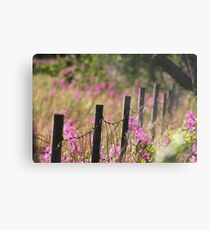 The DeeZ 5Cs Award Banner . Wind Of Change . Harran . Norway . by Brown Sugar Storybook. Favorites: 13 Views: 804 . Killer Look with Wooows !!! Thanks Dear Friends !!! Metal Print