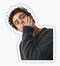 Joshua Bassett Sticker