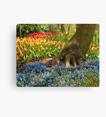 Woodland Planting of Spring Bulbs- Keukenhof Gardens Leinwanddruck