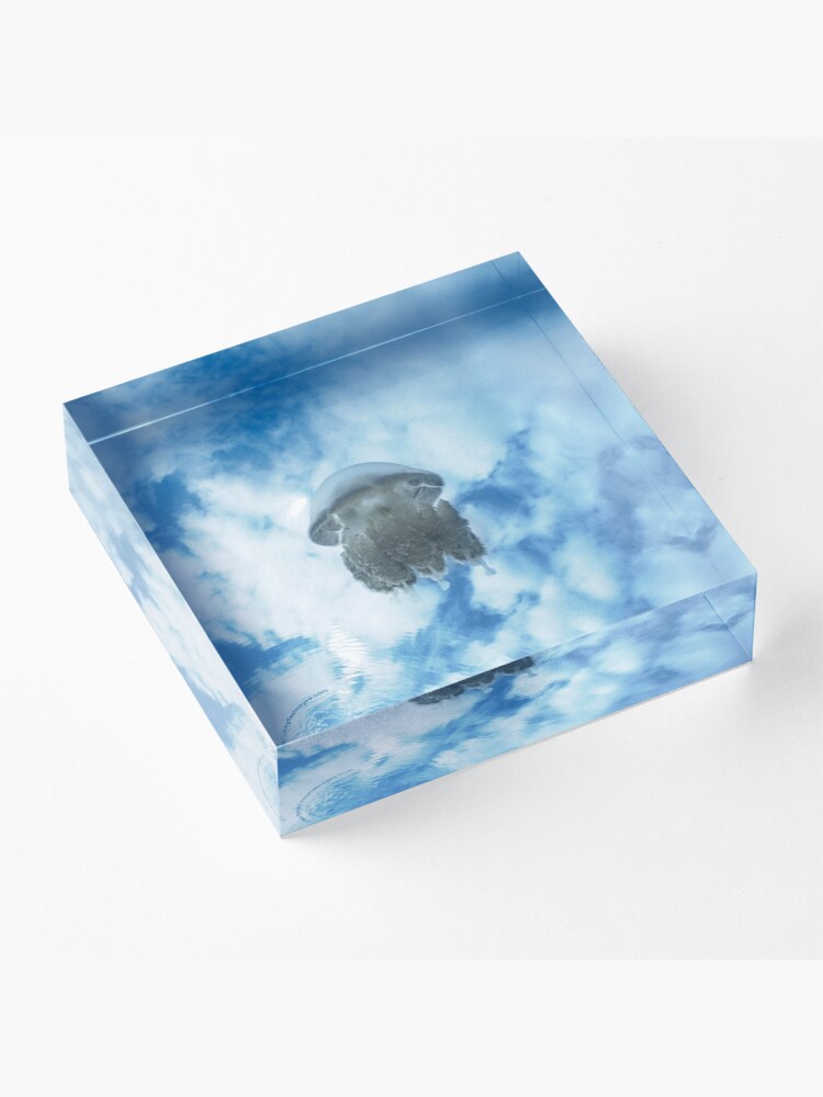 Alternate view of Jelly in Jellyfish Lake, Palau Acrylic Block