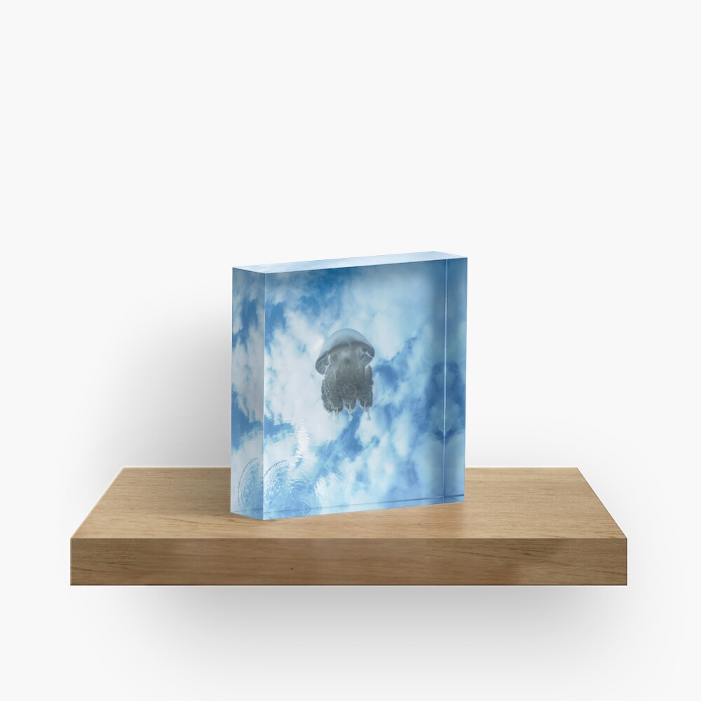 Jelly in Jellyfish Lake, Palau Acrylic Block