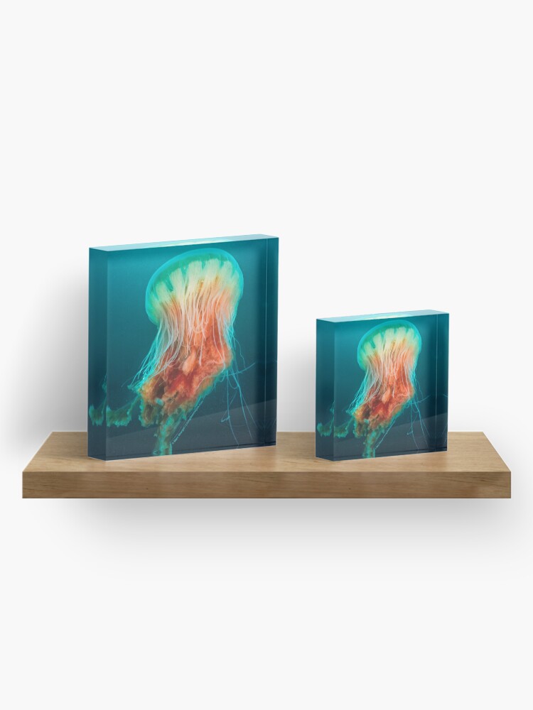 Alternate view of Egg Yolk Jelly, 1999 Acrylic Block