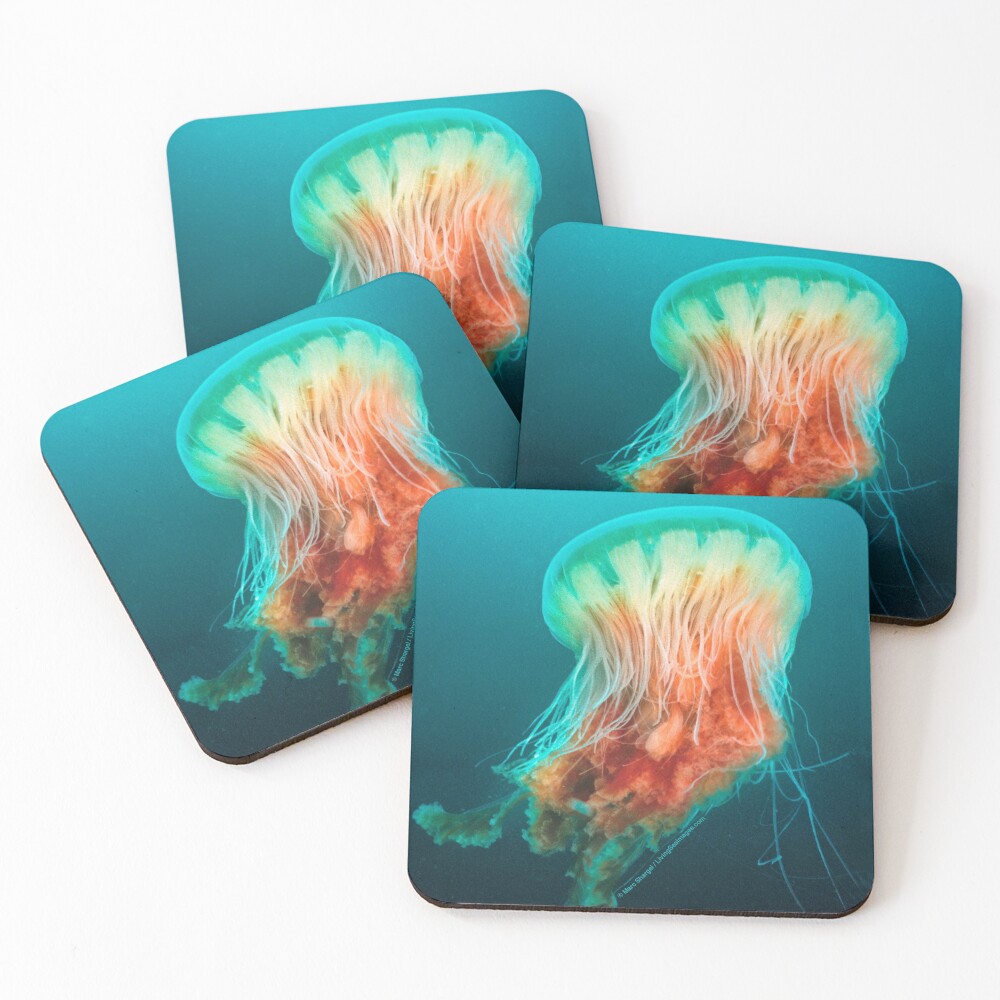 Egg Yolk Jelly, 1999 Coasters (Set of 4)