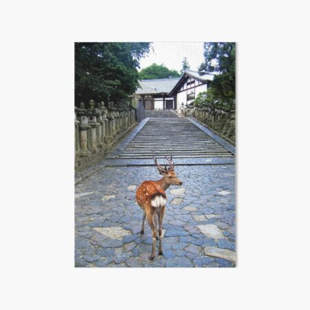 Nara 1 Art Board Print