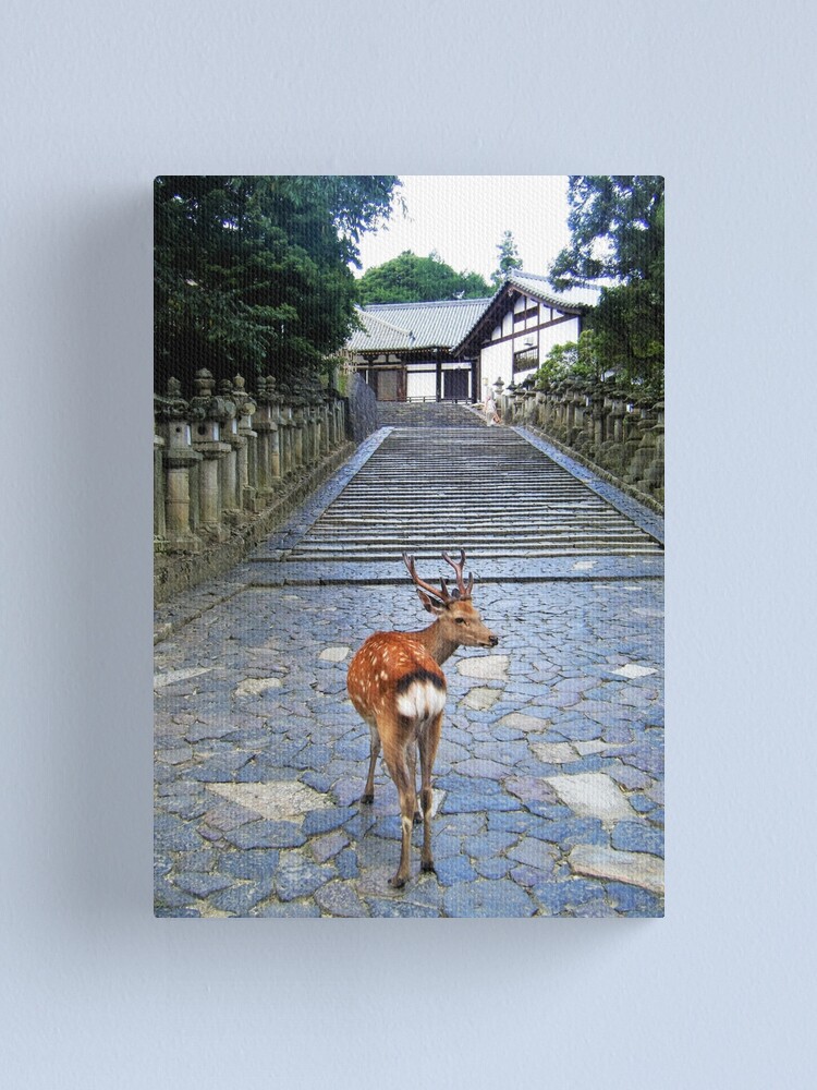 Alternate view of Nara 1 Canvas Print