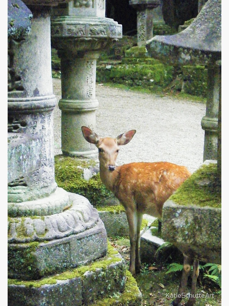 Nara 2 by KatieSchutteArt