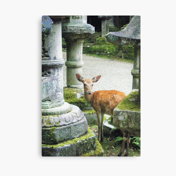 Nara 2 Canvas Print