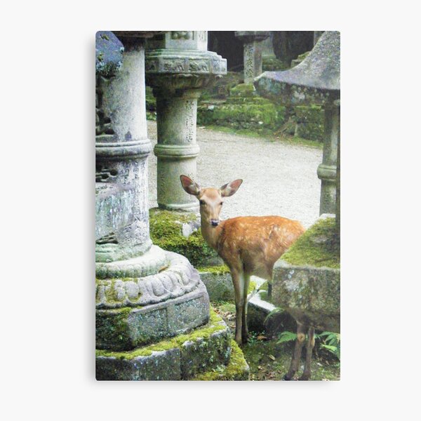 Nara 2 Metal Print
