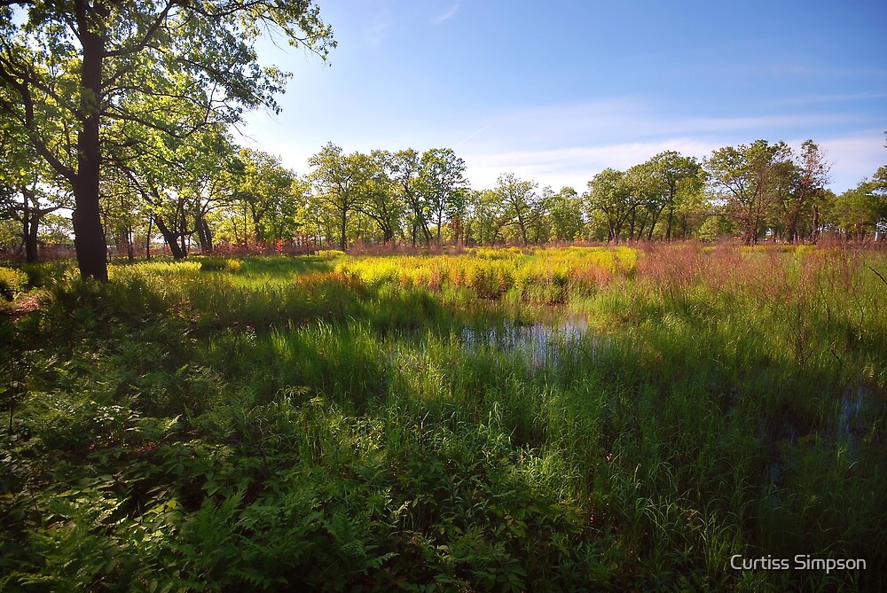 A Step Back in Time: Exploring Ohio's Hidden Gem - Goode Prairie State Nature Preserve