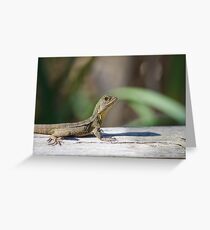 Dragon profile Greeting Card