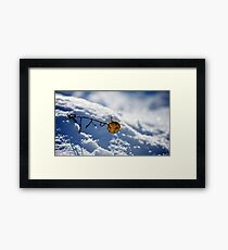 Spring of Life Framed Print