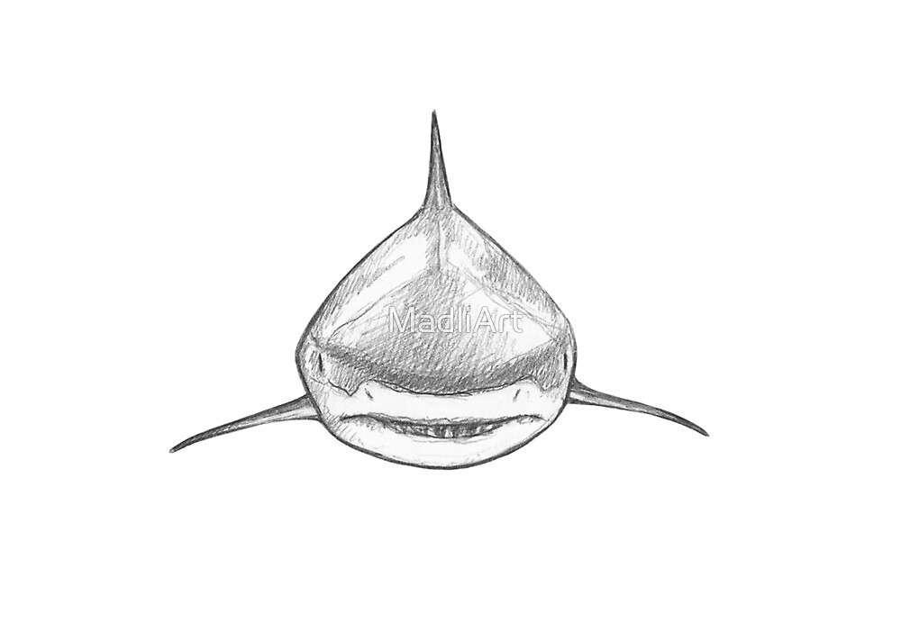 Great White Shark Iv Monochromatic Pencil Line Sketch Drawing By Madliart By Madliart