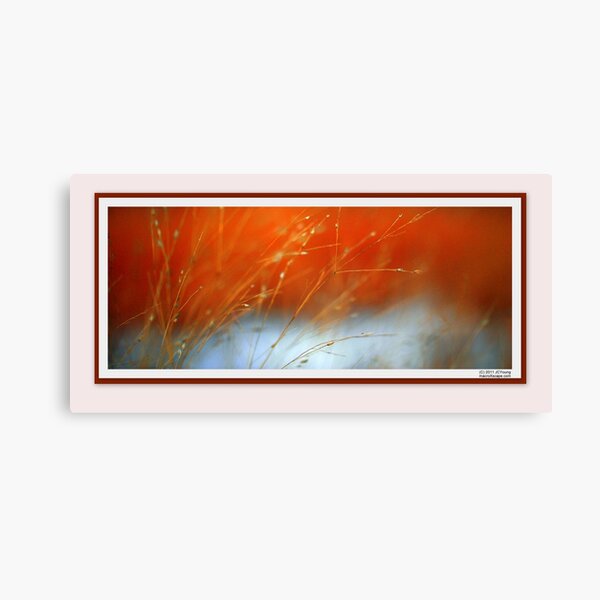 Another Primrose Path Canvas Print