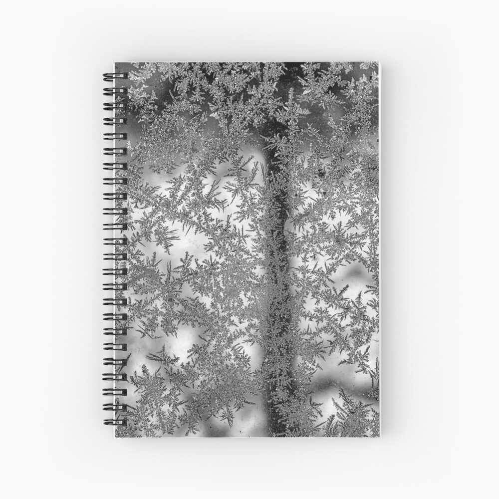 Ice flowers Spiral Notebook