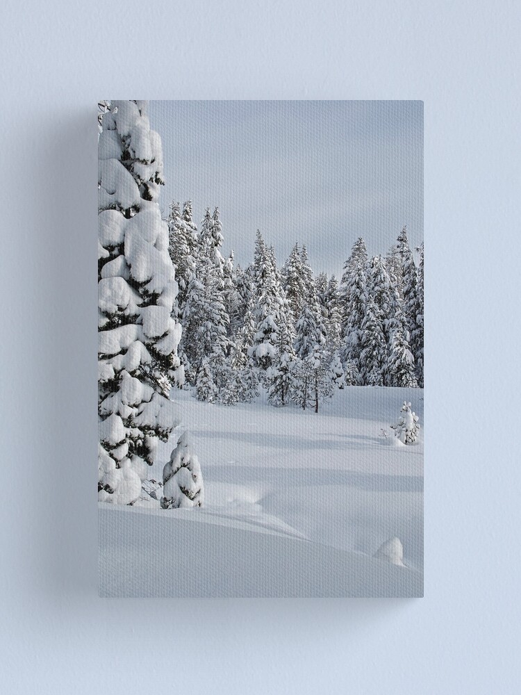 Alternate view of Serene Snow Scene Canvas Print