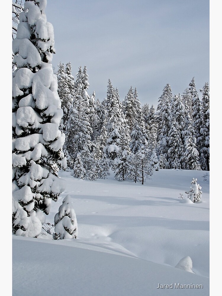 Serene Snow Scene by JaredManninen