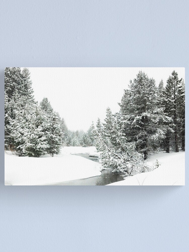 Alternate view of Upper Truckee River Surrounded by Snow Canvas Print