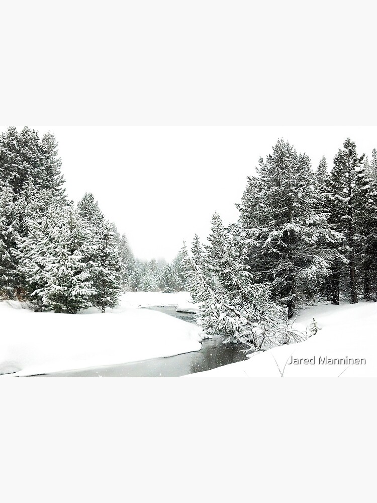 Upper Truckee River Surrounded by Snow by JaredManninen