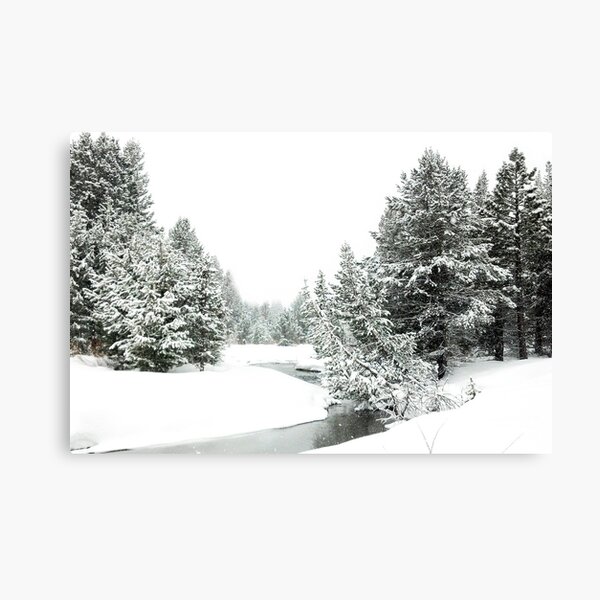 Upper Truckee River Surrounded by Snow Canvas Print