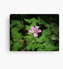 Pink Wildflowers Leinwanddruck